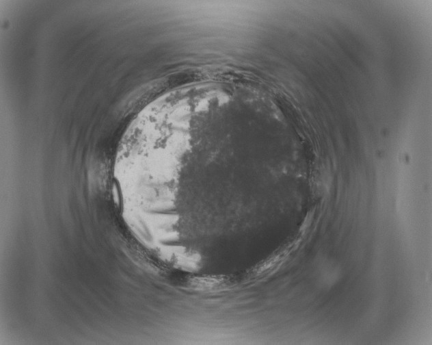 X0000081610139200702051404