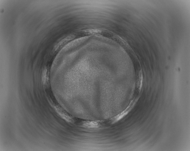 X0000081610140200702051404