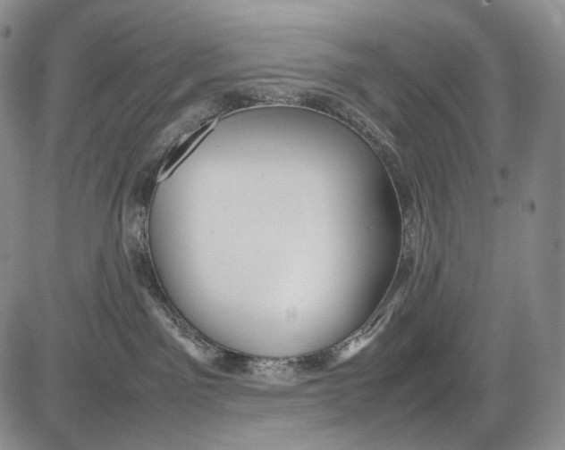 X0000081610141200702051403