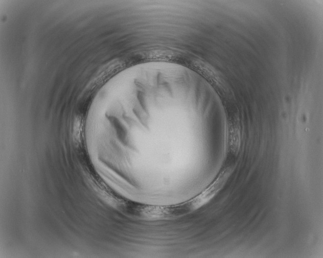 X0000081610142200702051403