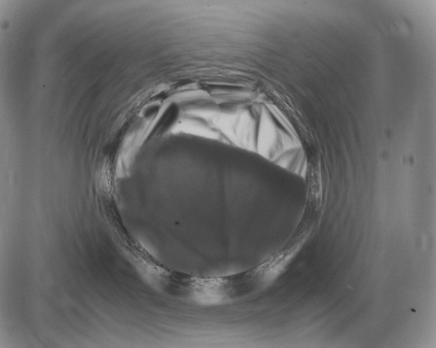 X0000081610143200702051403