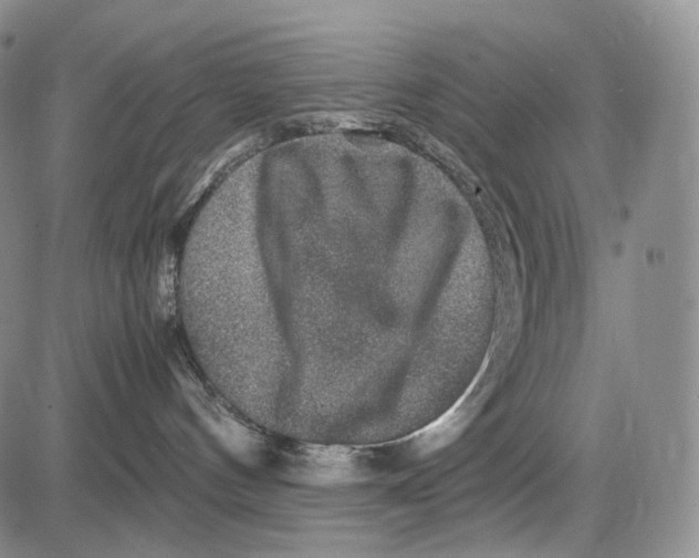 X0000081610144200702051403