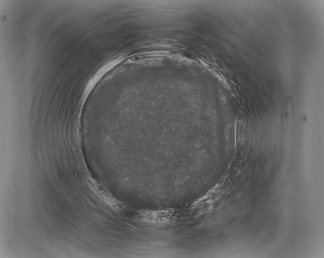 X0000081610147200702051403