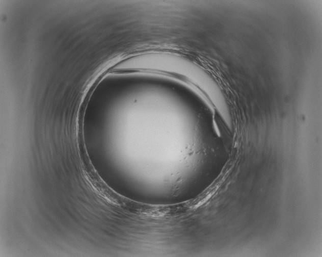 X0000081610148200702051403