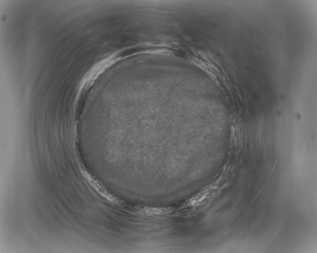 X0000081610149200702051403