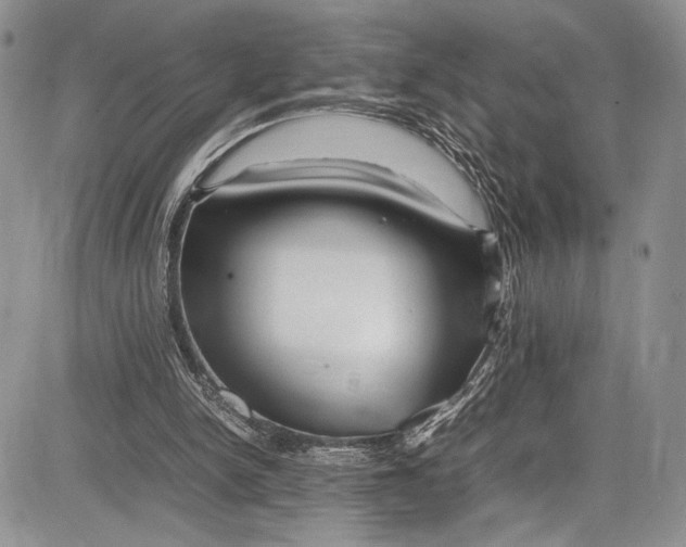 X0000081610150200702051403