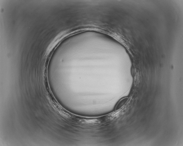 X0000081610151200702051403