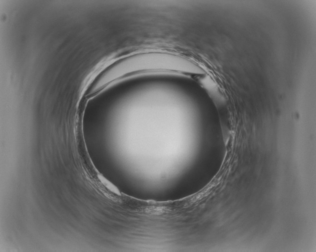 X0000081610152200702051403