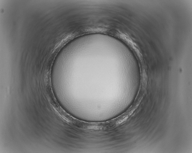 X0000081610153200702051403