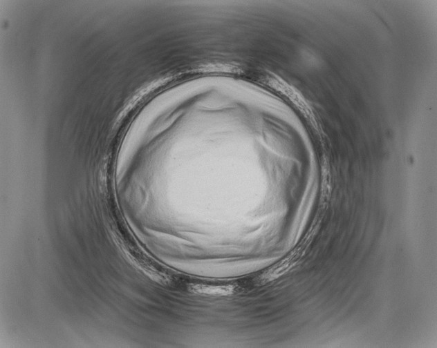 X0000081610155200702051403