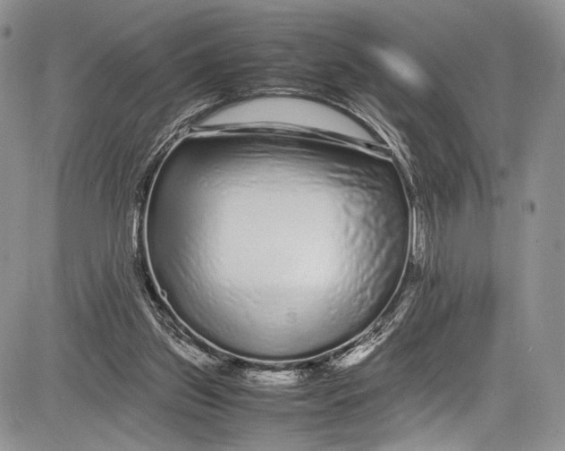 X0000081610157200702051403