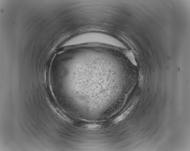 X0000081610158200702051403