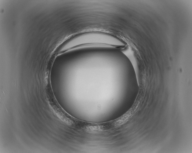 X0000081610160200702051403