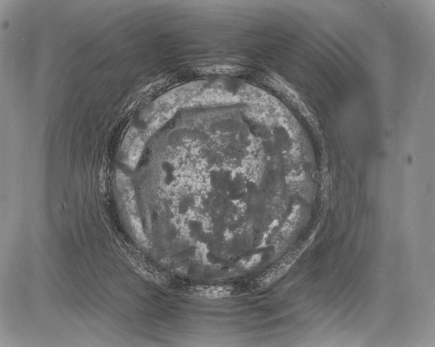 X0000081610161200702051403