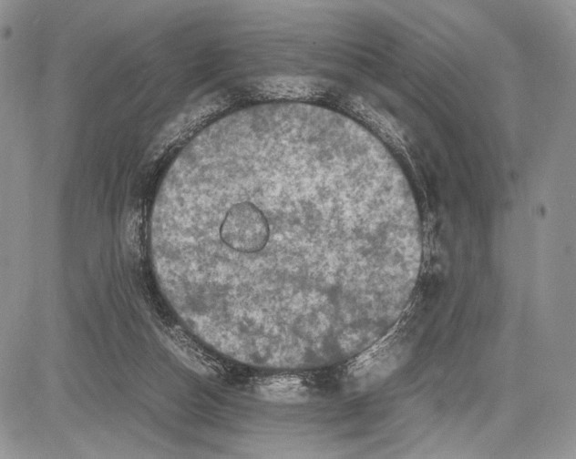 X0000081610162200702051403