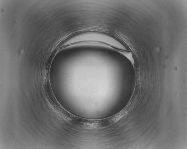 X0000081610164200702051403