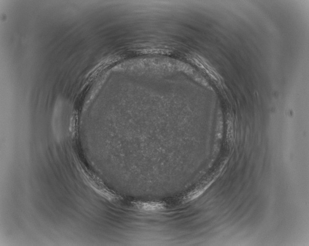 X0000081610165200702051403