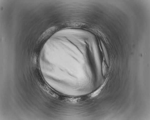 X0000081610166200702051403