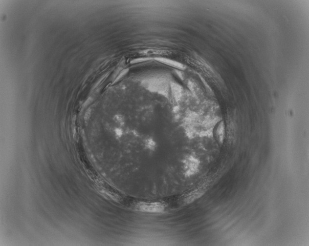 X0000081610169200702051403