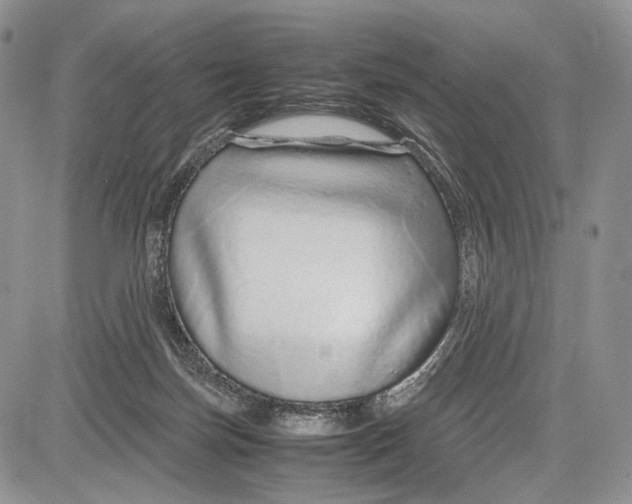 X0000081610171200702051403