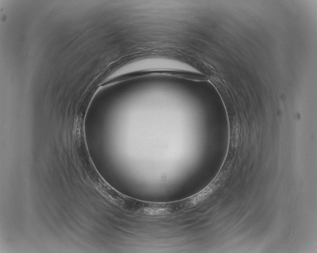 X0000081610172200702051403