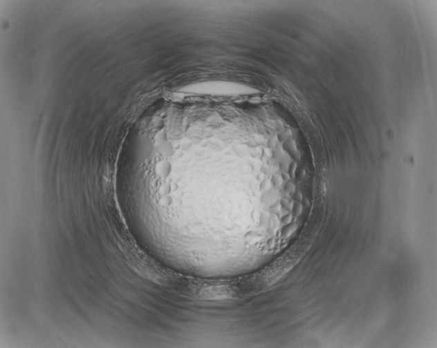 X0000081610173200702051403