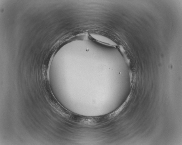 X0000081610174200702051403