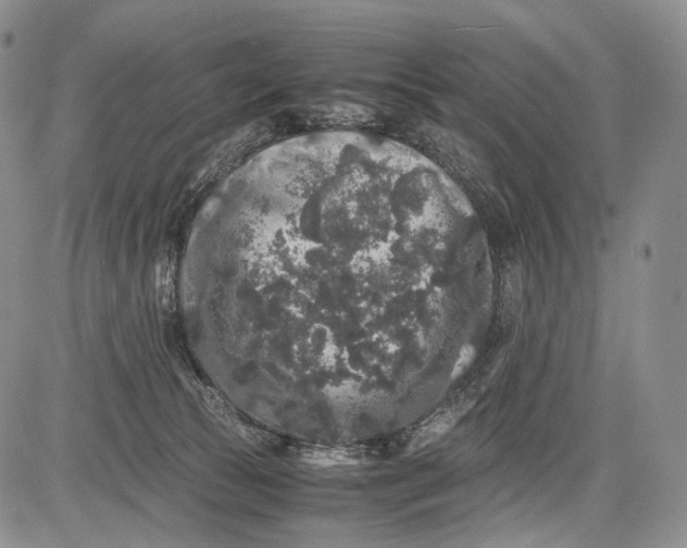 X0000081610177200702051403