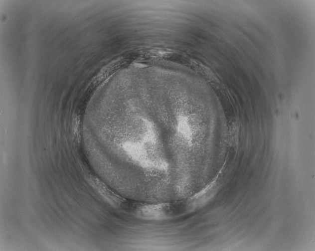 X0000081610178200702051403