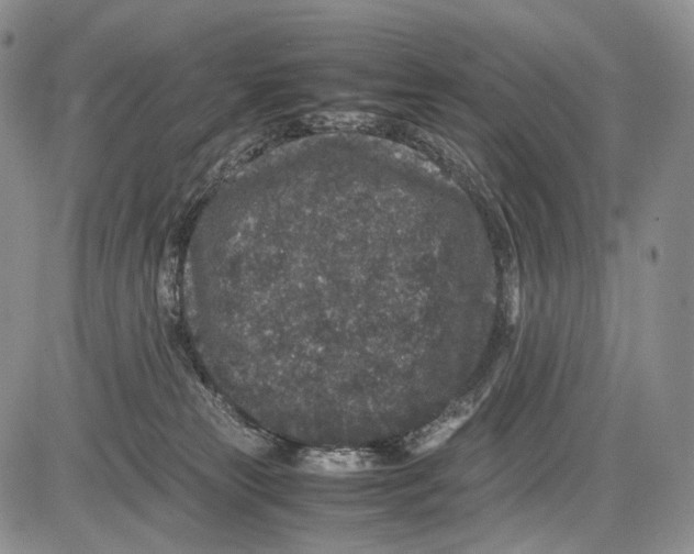 X0000081610181200702051403