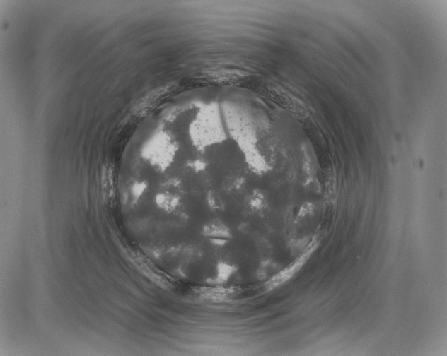 X0000081610182200702051403