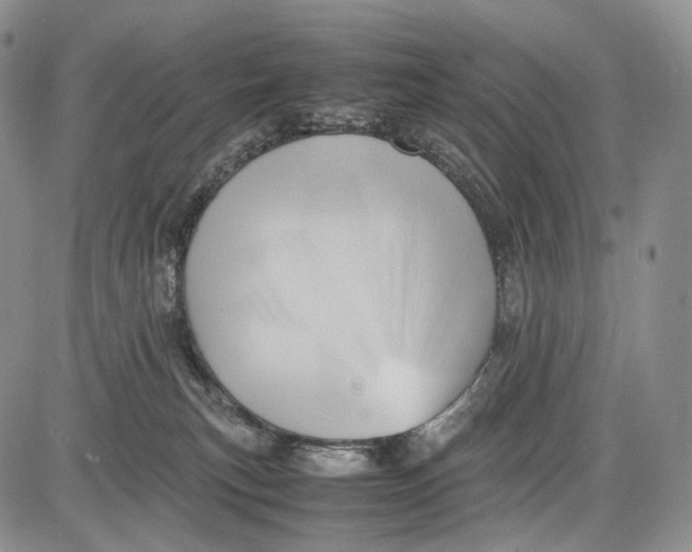 X0000081610183200702051403