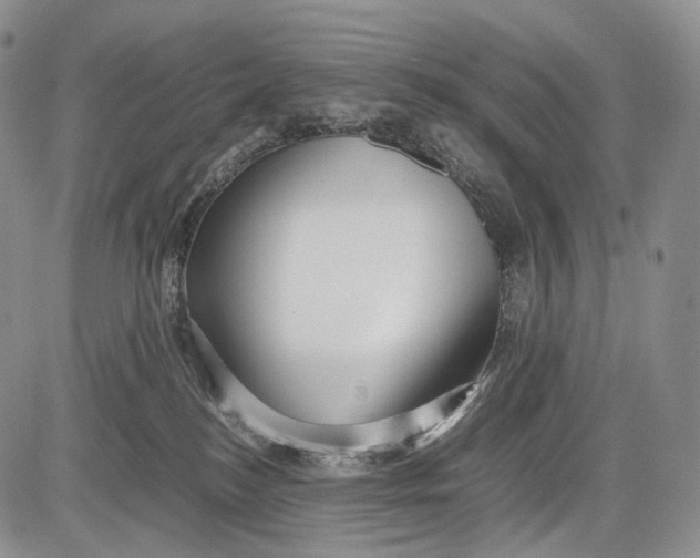 X0000081610184200702051403