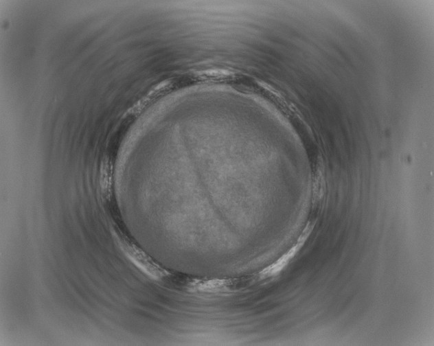 X0000081610186200702051403