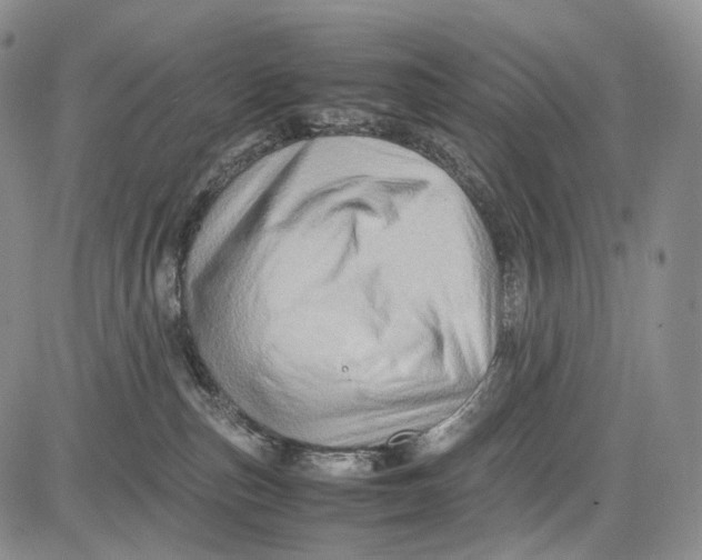 X0000081610187200702051403