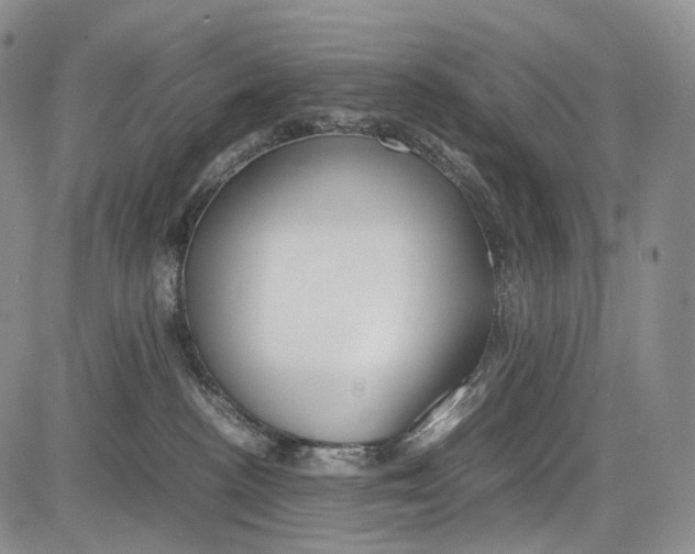 X0000081610188200702051403