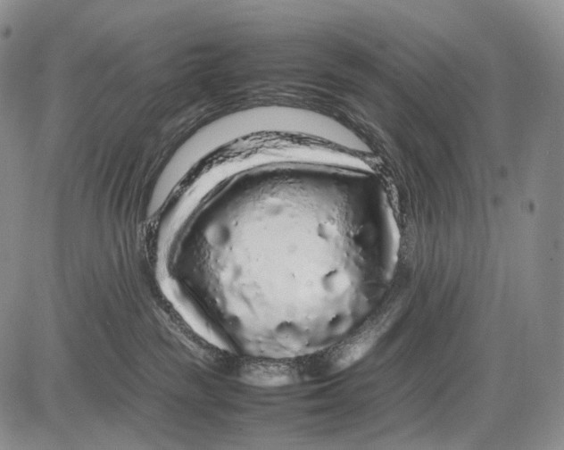 X0000081610189200702051403