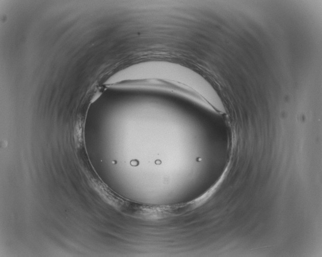 X0000081610190200702051403