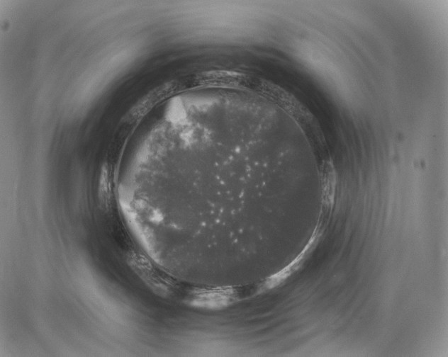 X0000081610191200702051403