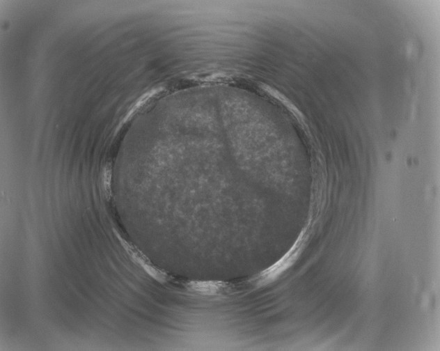 X0000081610192200702051403