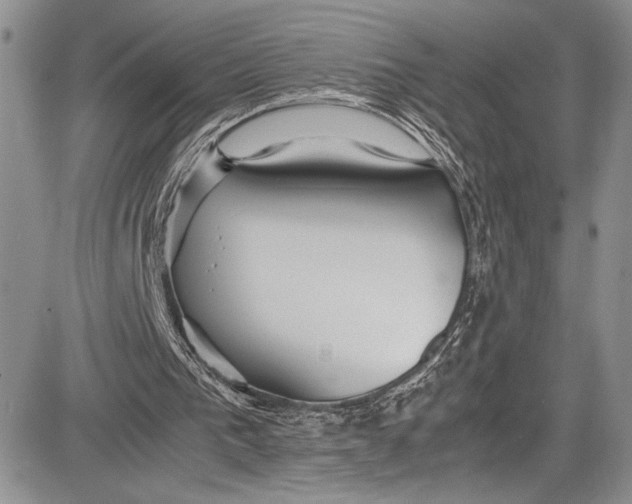 X0000081610193200702051403