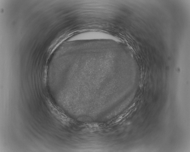 X0000081610194200702051403