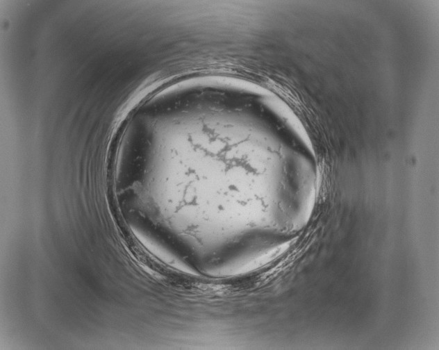 X0000081610195200702051403