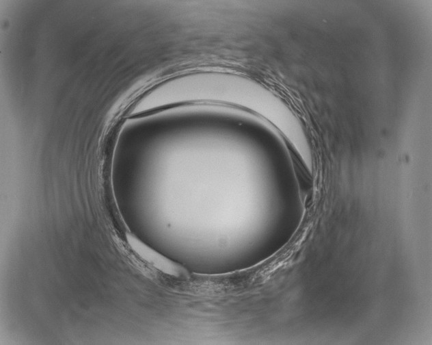 X0000081610197200702051403