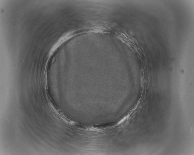 X0000081610198200702051403