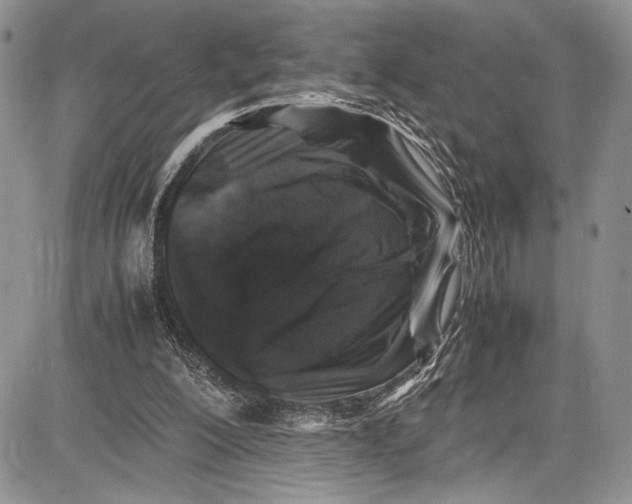 X0000081610200200702051403