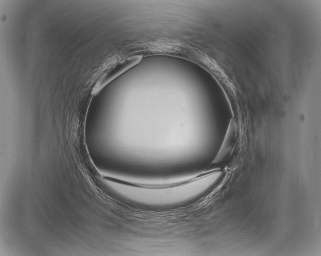 X0000081610201200702051403