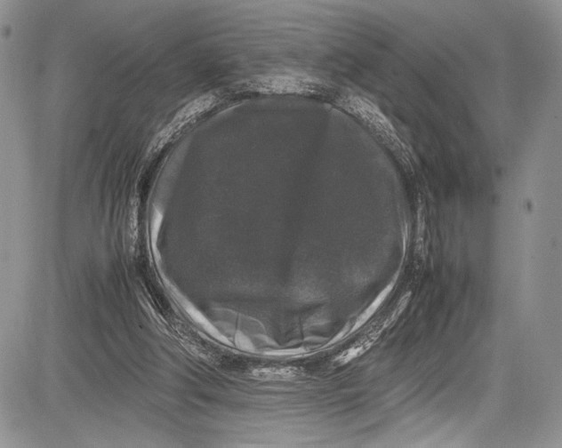 X0000081610202200702051402