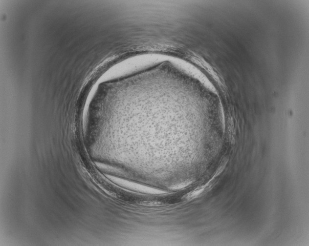 X0000081610203200702051402