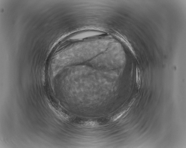 X0000081610204200702051402